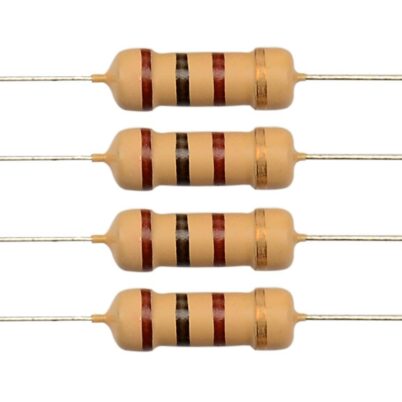 100 ohm 100 Ohm Resistor (¼ Watt)
